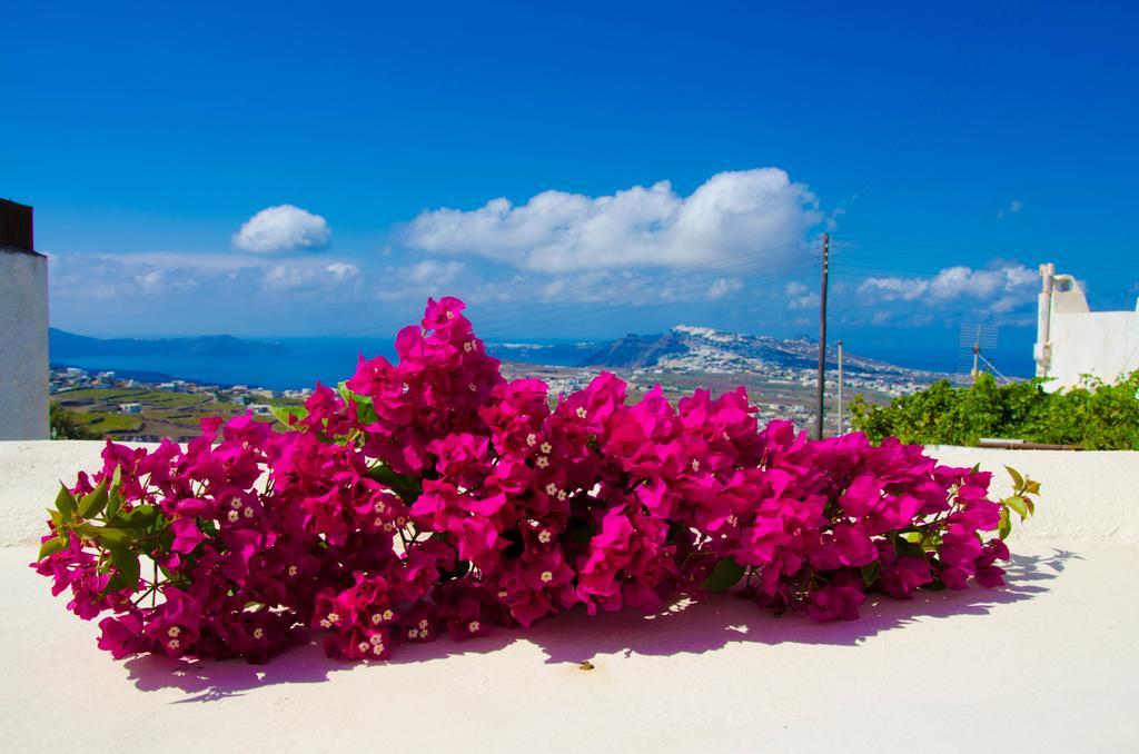 Chrisanthi Villa Pýrgos Rum bild